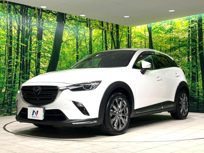 2018 Mazda CX-3 6BA-DKEFW (UW-6a34b24a1db5d)[5]
