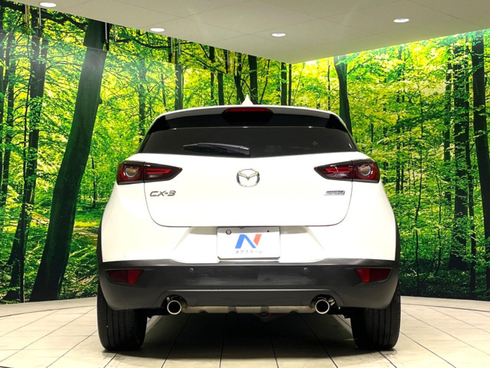 2018 Mazda CX-3 6BA-DKEFW (UW-6a34b24a1db5d)[8]