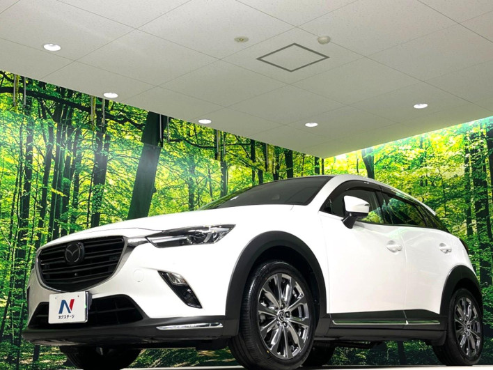 2018 Mazda CX-3 6BA-DKEFW (UW-6a34b24a1db5d)[10]