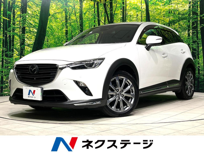 2018 Mazda CX-3 6BA-DKEFW (UW-6a34b24a1db5d)[3]