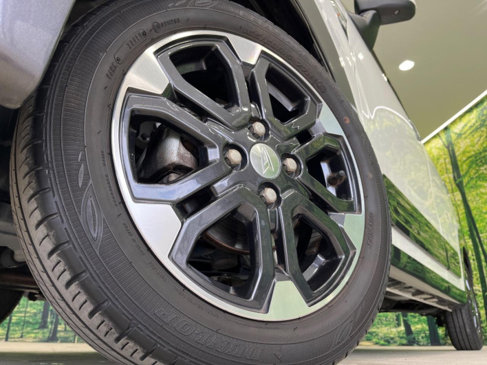 2019 Daihatsu Cast DBA-LA250S (UW-6a34b2fda3777)[6]