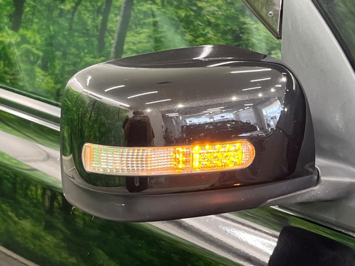 2011 Nissan X-Trail DBA-NT31 (UW-6a34b3a281622)[15]
