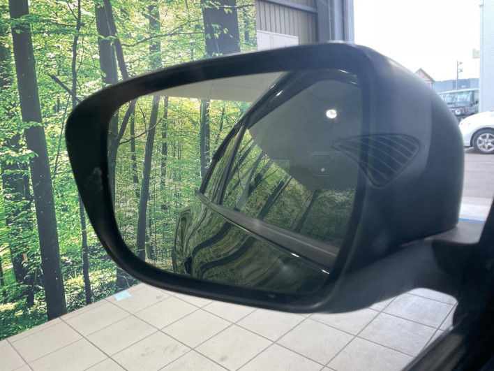 2017 Nissan JUKE DBA-YF15 (UW-6a34b3fbcc9fd)[18]