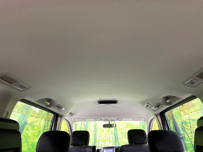 2009 Nissan Serena DBA-CC25 (UW-6a3603c69bc4d)[17]