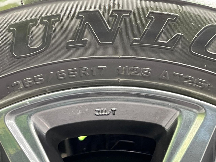 2023 Toyota Hilux 3DF-GUN125 (UW-6a36040e30f17)[27]