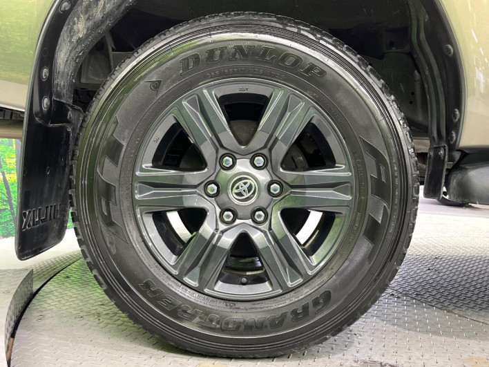 2023 Toyota Hilux 3DF-GUN125 (UW-6a36040e30f17)[26]
