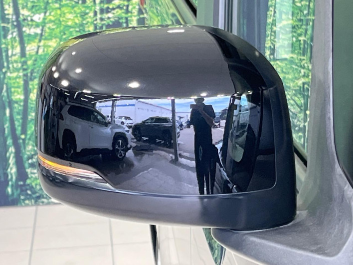2019 Honda N-BOX DBA-JF3 (UW-6a36043fbd547)[17]