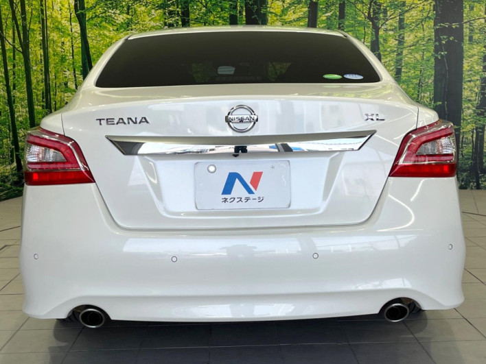 2016 Nissan Teana DBA-L33 (UW-6a360472c43c2)[14]
