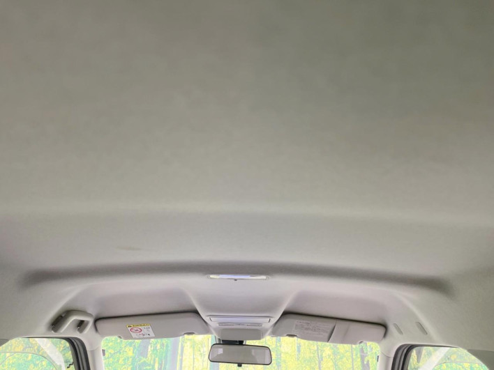 2016 Daihatsu Cast DBA-LA250S (UW-6a36047aa10ed)[15]