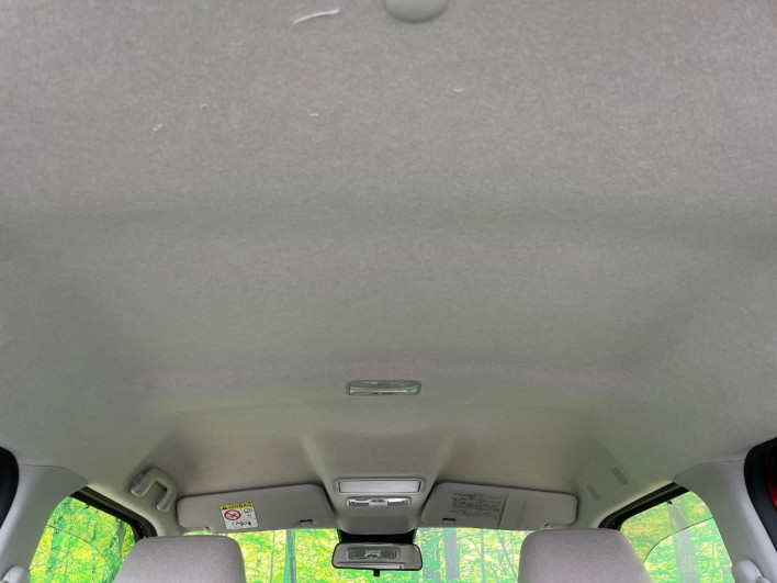 2018 Daihatsu Cast DBA-LA250S (UW-6a36047b768cd)[14]