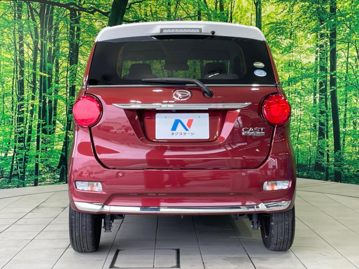 2018 Daihatsu Cast DBA-LA250S (UW-6a36047b768cd)[24]