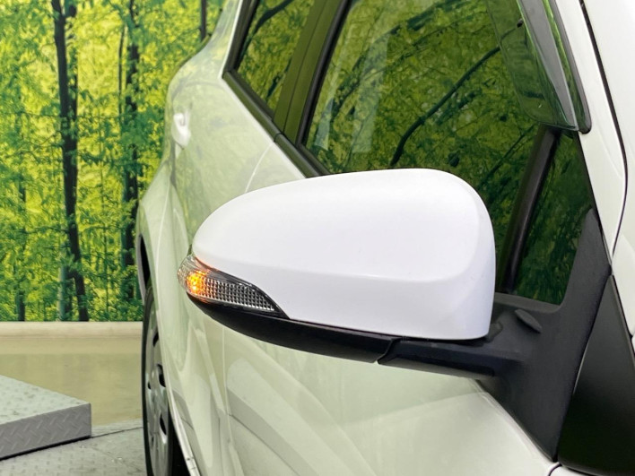2017 Toyota Aqua DAA-NHP10 (UW-6a36052ea0b59)[9]