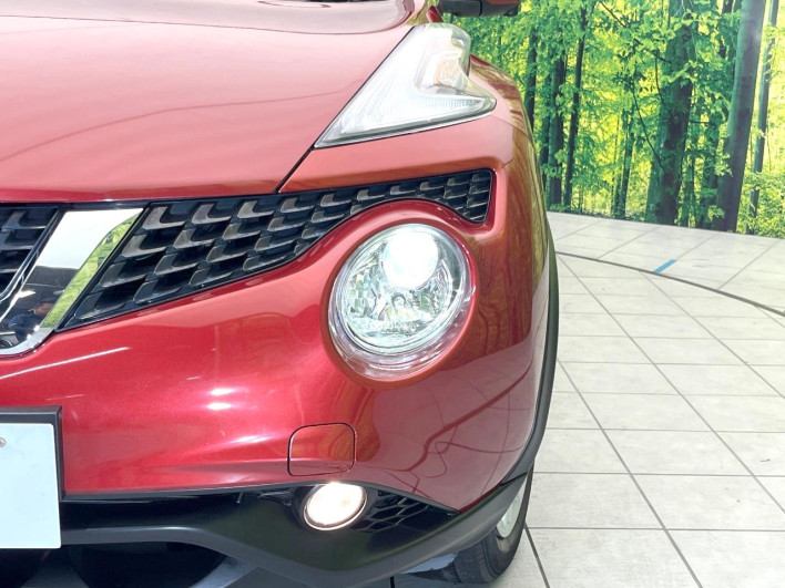 2015 Nissan JUKE DBA-YF15 (UW-6a36058ee53ae)[8]