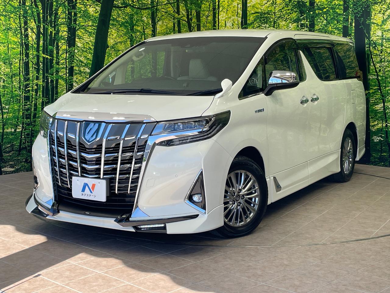 2019 Toyota Alphard Hybrid DAA-AYH30W