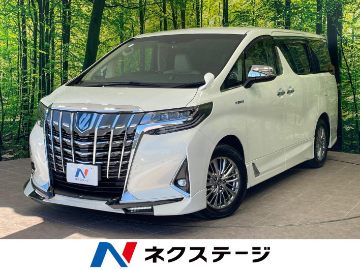 2019 Toyota Alphard Hybrid DAA-AYH30W (UW-6a3754fad3b28)[3]