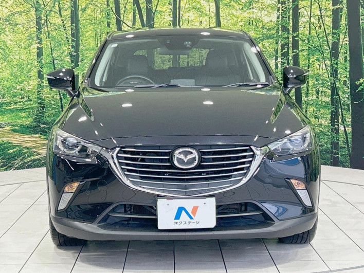 2016 Mazda CX-3 LDA-DK5FW (UW-6a37552d56637)[14]