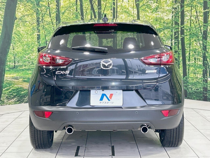 2016 Mazda CX-3 LDA-DK5FW (UW-6a37552d56637)[18]