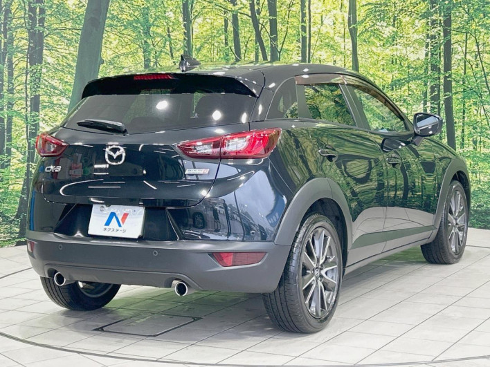 2016 Mazda CX-3 LDA-DK5FW (UW-6a37552d56637)[17]