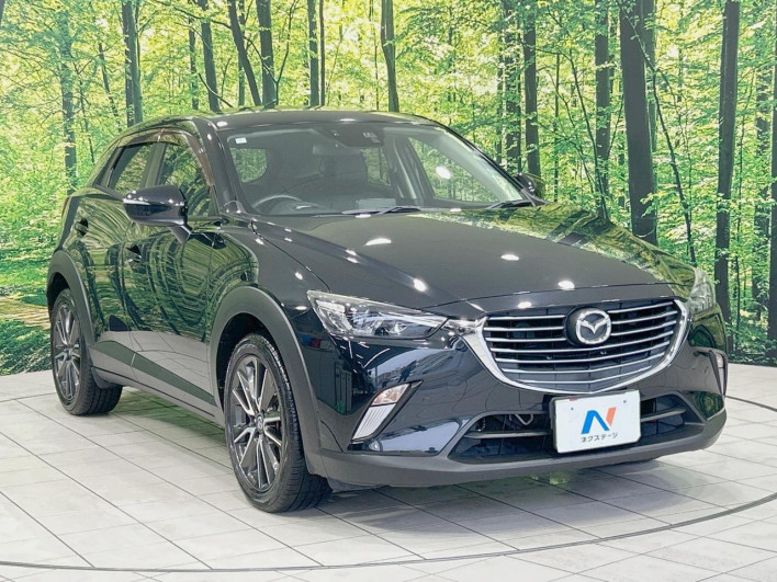 2016 Mazda CX-3 LDA-DK5FW (UW-6a37552d56637)[15]