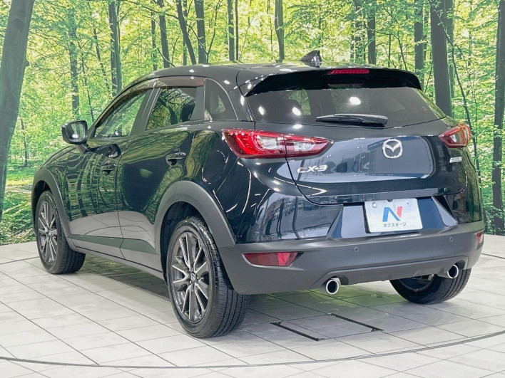 2016 Mazda CX-3 LDA-DK5FW (UW-6a37552d56637)[19]