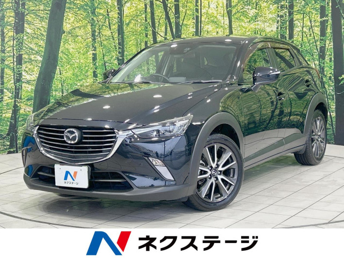 2016 Mazda CX-3 LDA-DK5FW (UW-6a37552d56637)[3]