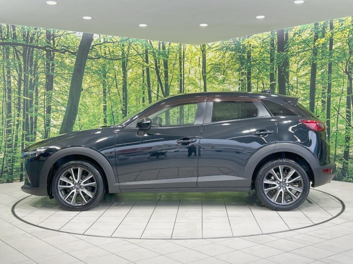 2016 Mazda CX-3 LDA-DK5FW (UW-6a37552d56637)[20]