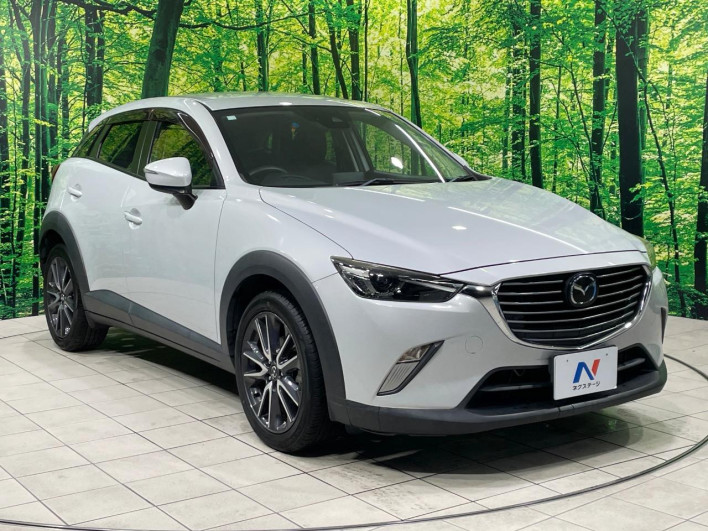 2017 Mazda CX-3 LDA-DK5FW (UW-6a37552d98d73)[26]