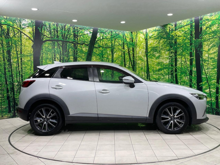 2017 Mazda CX-3 LDA-DK5FW (UW-6a37552d98d73)[25]