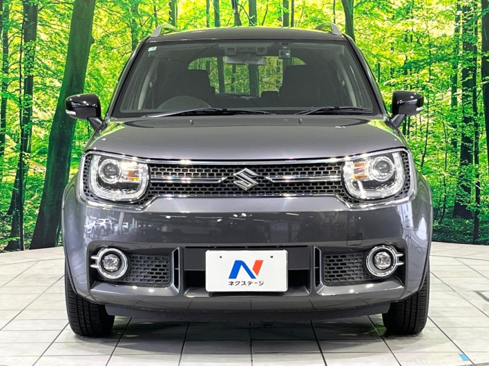 2017 Suzuki Ignis DAA-FF21S (UW-6a37553d92b80)[19]