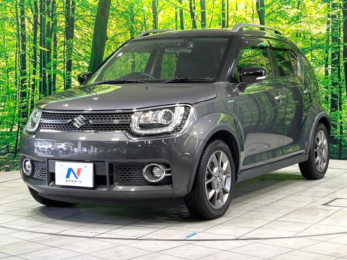2017 Suzuki Ignis DAA-FF21S (UW-6a37553d92b80)[6]