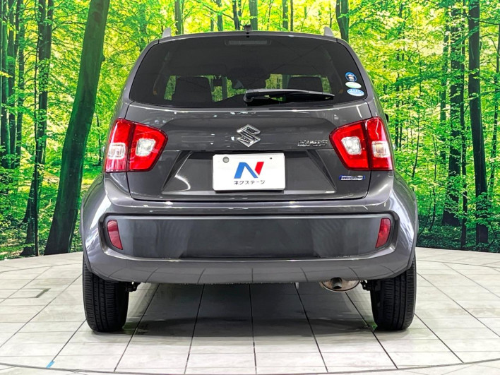 2017 Suzuki Ignis DAA-FF21S (UW-6a37553d92b80)[9]