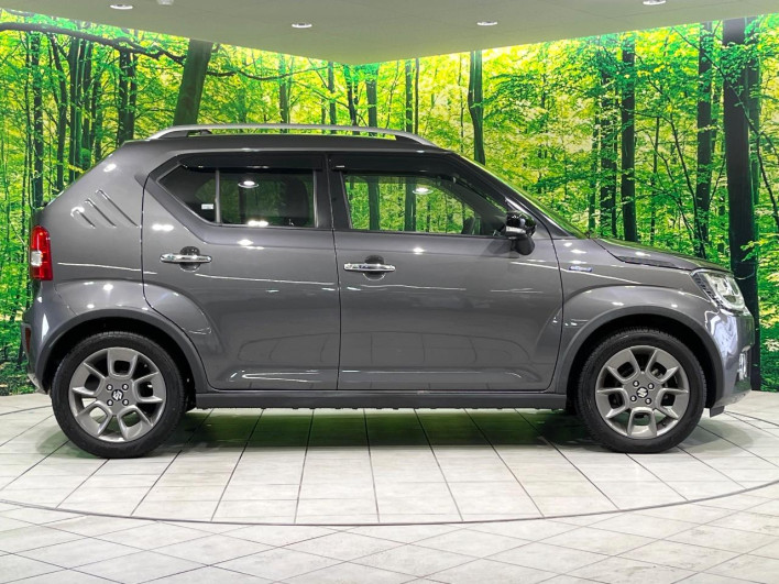 2017 Suzuki Ignis DAA-FF21S (UW-6a37553d92b80)[17]