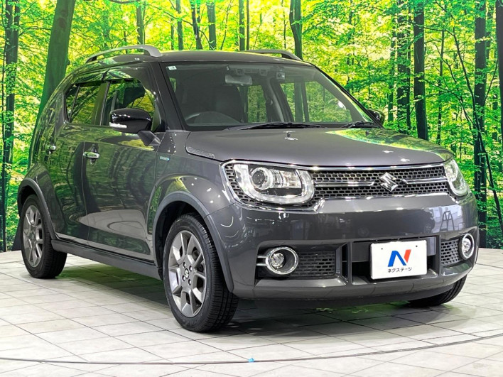 2017 Suzuki Ignis DAA-FF21S (UW-6a37553d92b80)[18]