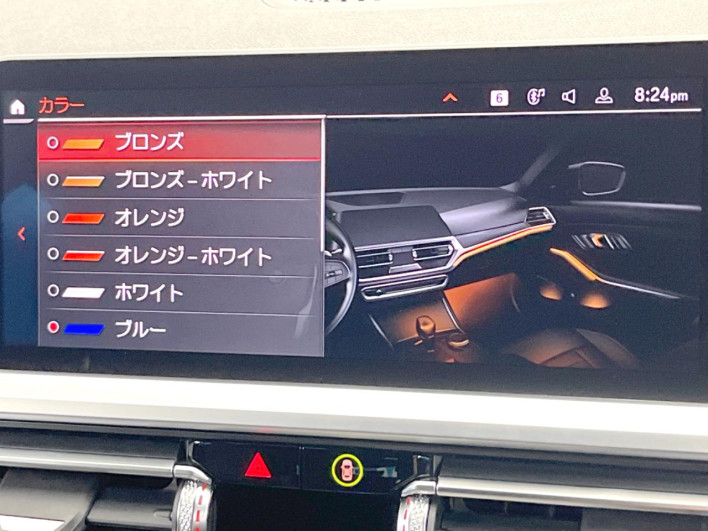 2021 BMW 3 Series 3DA-6L20 (UW-6a3756cf4858c)[17]