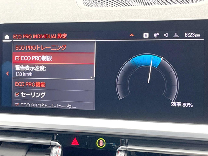 2021 BMW 3 Series 3DA-6L20 (UW-6a3756cf4858c)[15]