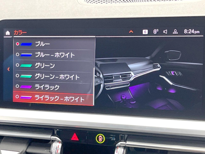 2021 BMW 3 Series 3DA-6L20 (UW-6a3756cf4858c)[18]