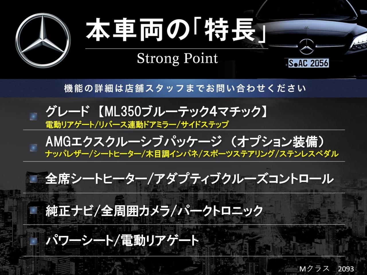 2014 Mercedes Benz M Class LDA-166024