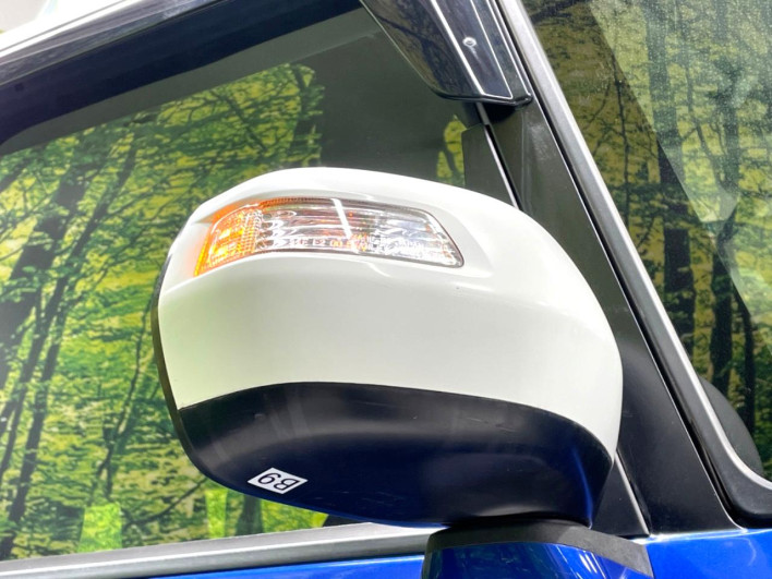2016 Honda N-BOX DBA-JF1 (UW-6a3b4a5e2faef)[13]