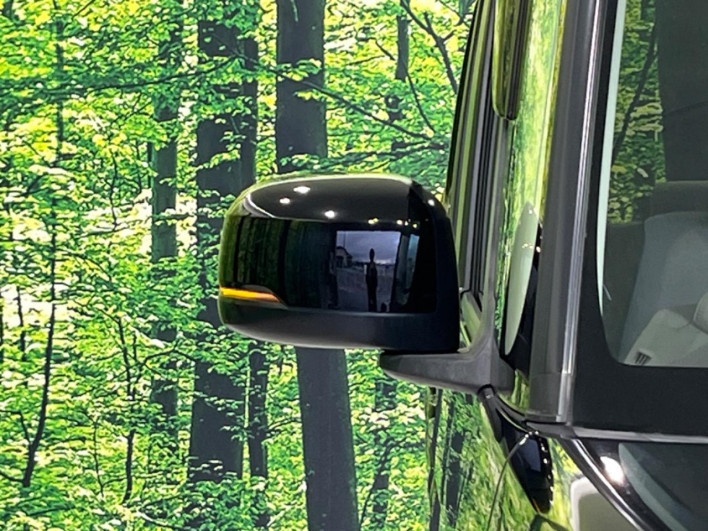 2018 Honda N-BOX DBA-JF3 (UW-6a3b4a64b5da7)[22]