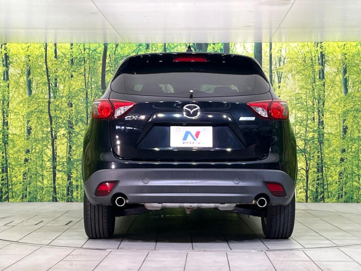 2014 Mazda CX-5 LDA-KE2FW (UW-6a3b4a9490bd2)[19]