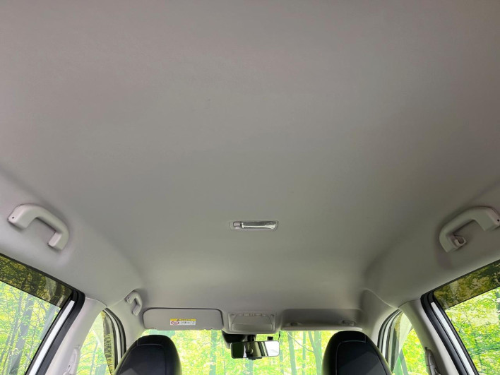 2017 Nissan X-Trail DBA-NT32 (UW-6a3b4b7436744)[10]