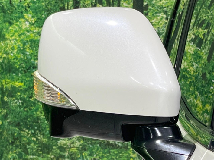 2015 Nissan Elgrand DBA-TE52 (UW-6a3b4ba43c8f0)[9]