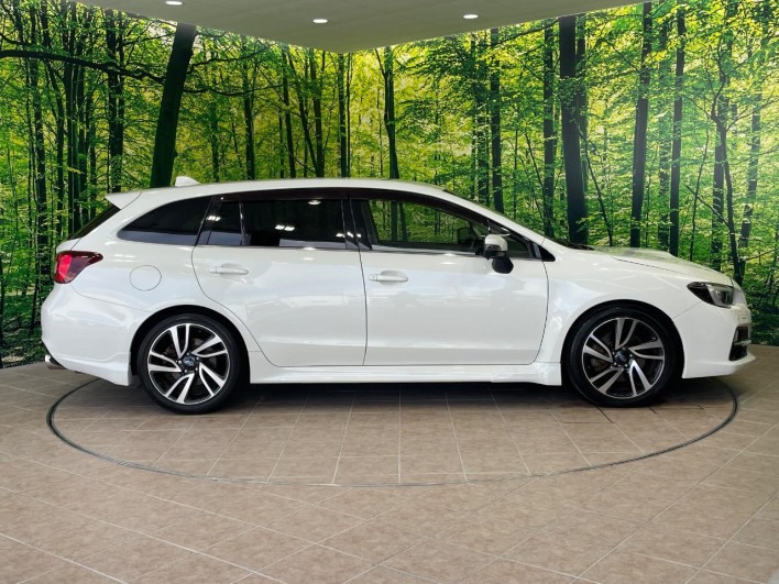 2014 Subaru Levorg DBA-VMG (UW-6a3b4bb3137ca)[15]