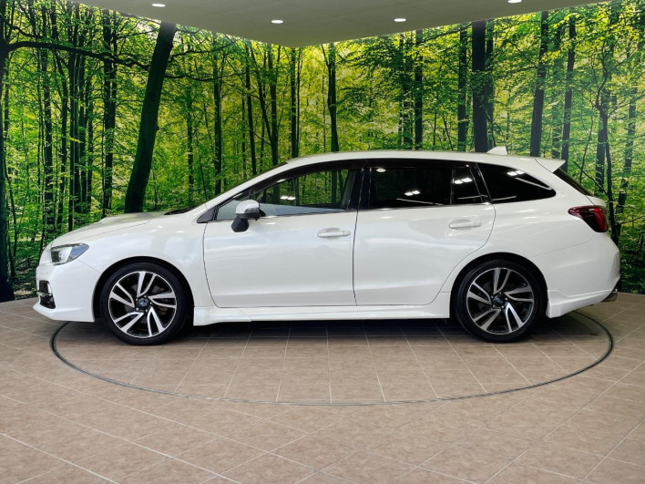 2014 Subaru Levorg DBA-VMG (UW-6a3b4bb3137ca)[11]
