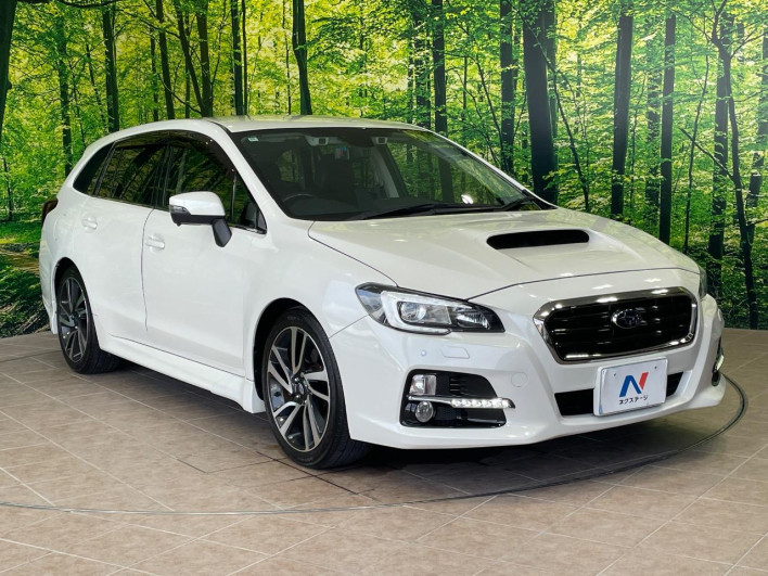 2014 Subaru Levorg DBA-VMG (UW-6a3b4bb3137ca)[16]