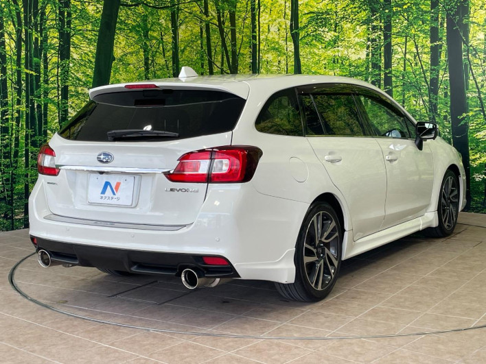 2014 Subaru Levorg DBA-VMG (UW-6a3b4bb3137ca)[14]