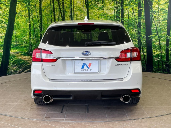 2014 Subaru Levorg DBA-VMG (UW-6a3b4bb3137ca)[13]