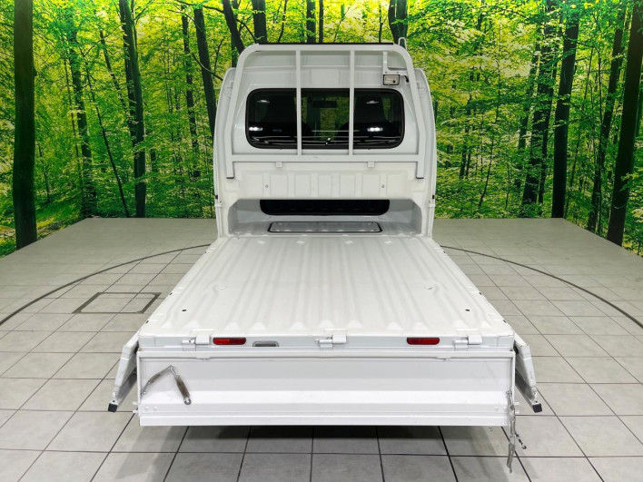 2019 Suzuki Super Carry EBD-DA16T (UW-6a3c9b385bcf9)[25]
