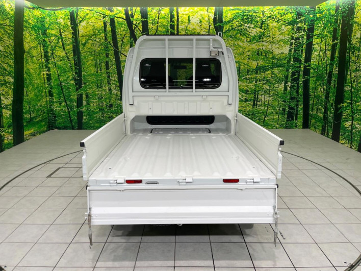 2019 Suzuki Super Carry EBD-DA16T (UW-6a3c9b385bcf9)[28]