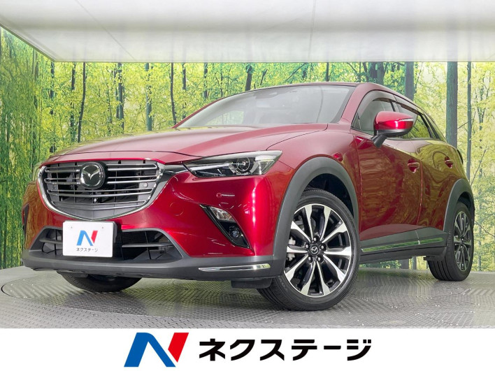 2018 Mazda CX-3 3DA-DK8FW (UW-6a3c9b3e95833)[3]